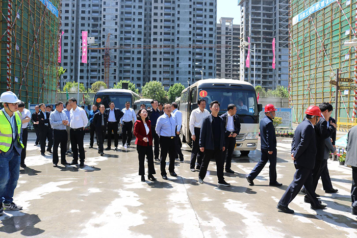 漯河市委书记蒿慧杰一行考察观摩临颍项目
